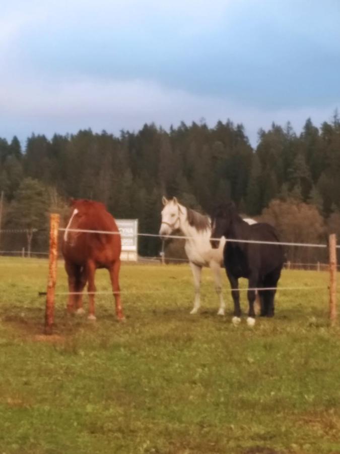 Na Dziole Villa Lipnica Wielka Bagian luar foto