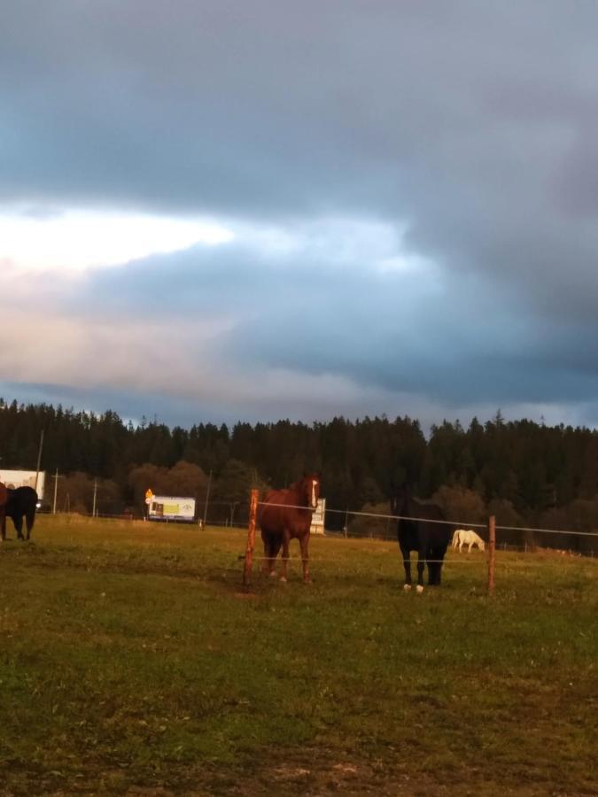 Na Dziole Villa Lipnica Wielka Bagian luar foto